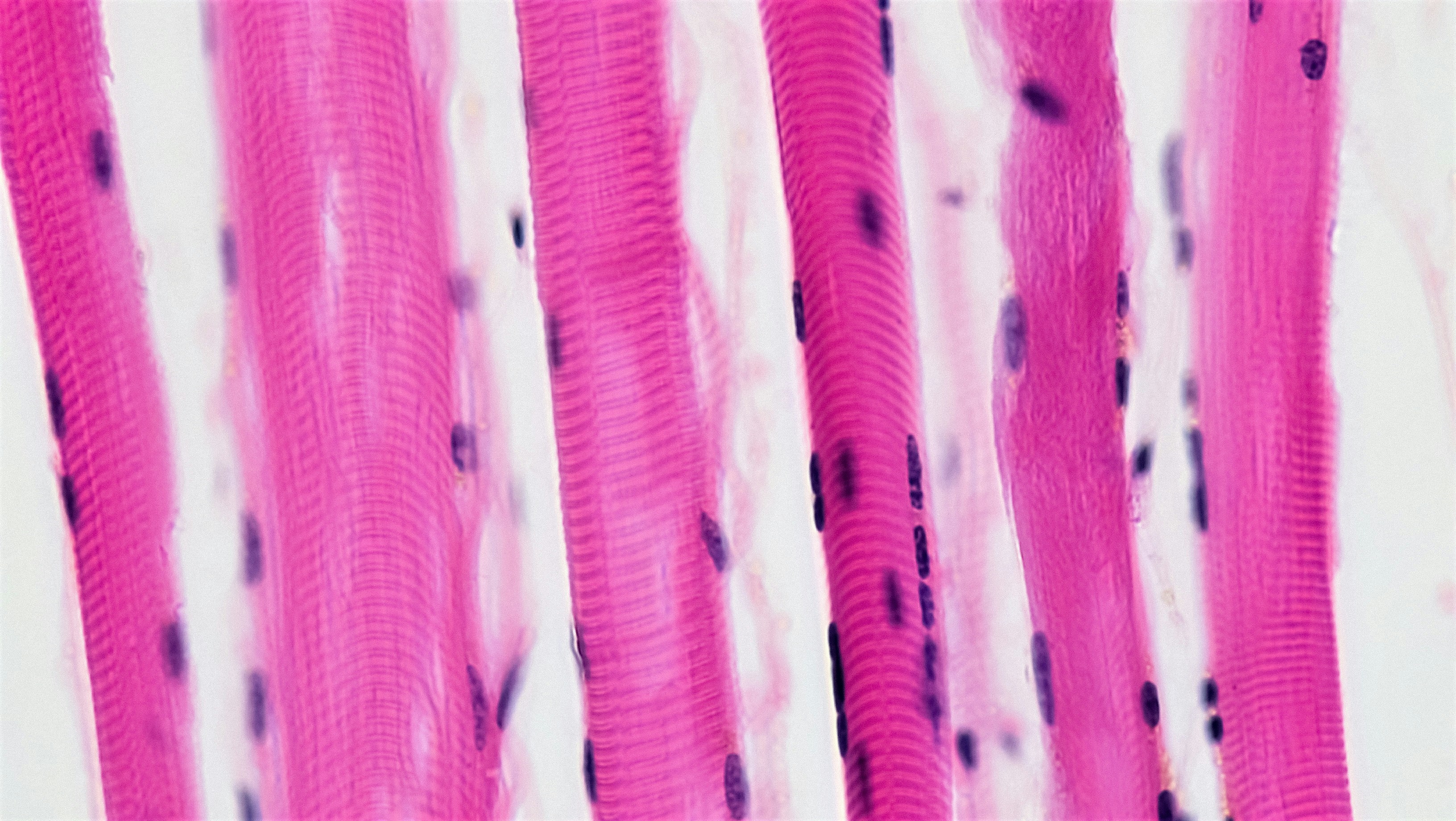 Therapeutic Development